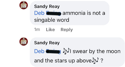 Sandy's post: Ammonia is not a singable word musical notes emoji I swear by the noon and the starts up above musical notes emoji question mark